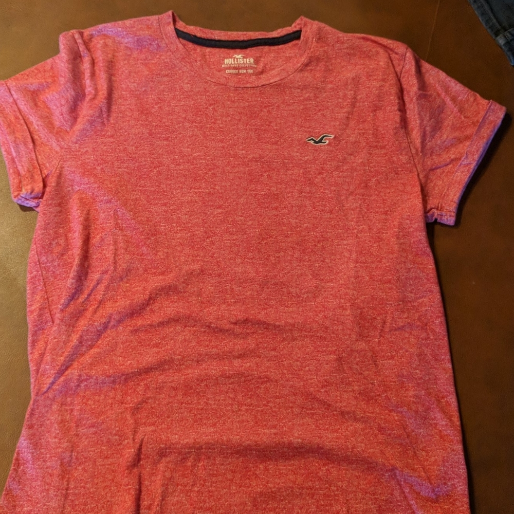 Mens Hollister Short sleeve T
